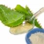 Aloevera Oil Extract (Per kg)